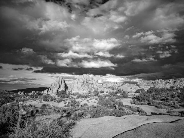 istock rock formation in Joshua tree national park 1435127450