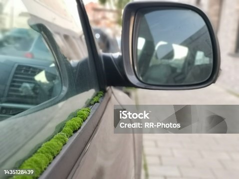 istock Side mirrors of the car and window door seal overgrown with moss 1435128439