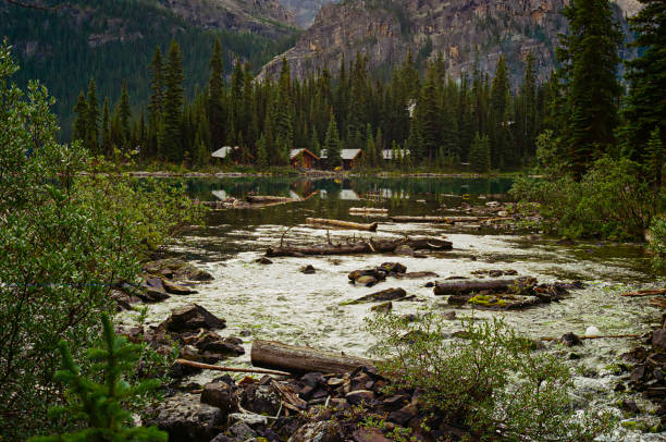 Log cabins and mountain ranges on Lake O'Hara as it drains out into a river