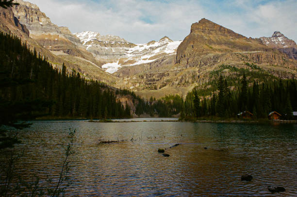 istock Lake O'Hara British Columbia 1435132930