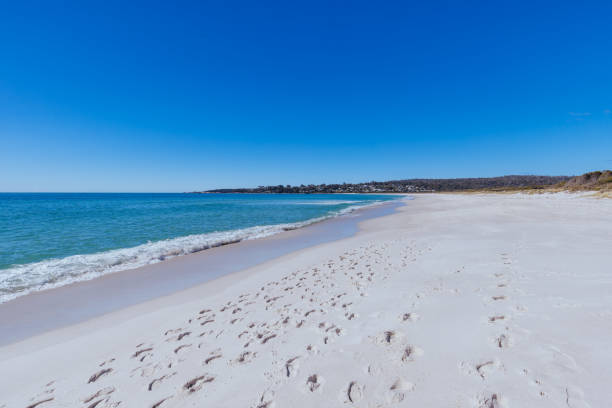 istock Binalong Bay Beach in Tasmania Australia 1435136205