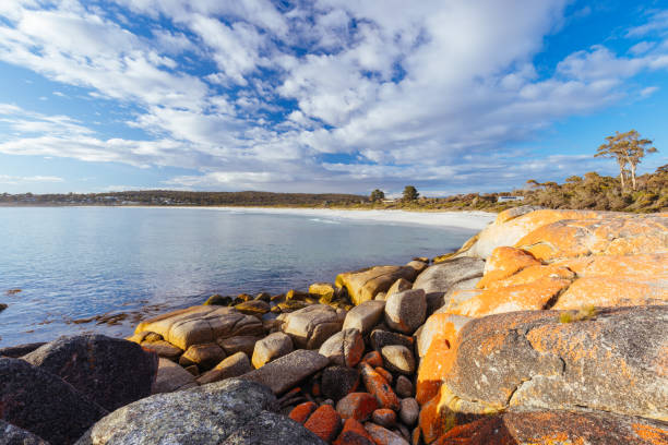 istock Binalong Bay Beach in Tasmania Australia 1435136212