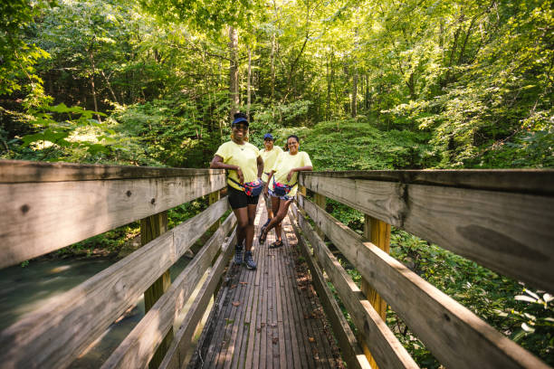 gruppo di amici su un ponte che si gode la natura - lookout mountaint foto e immagini stock