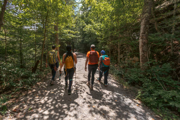 women hiking a trail on a beautiful day
