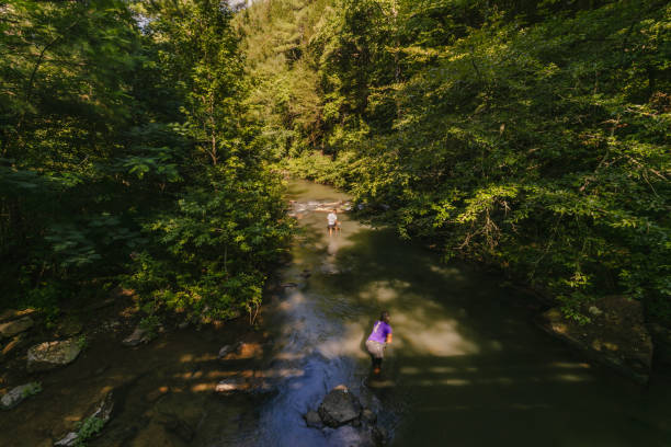 guadare nel fiume durante un'escursione - lookout mountaint foto e immagini stock