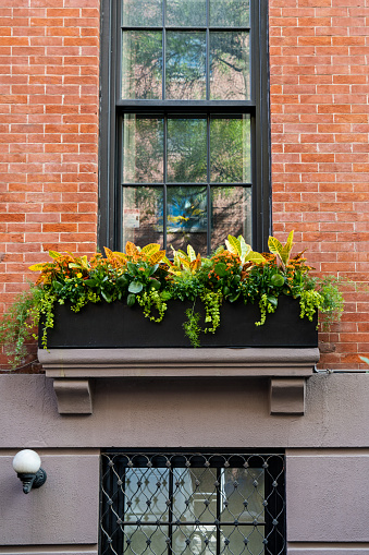 Window boxes are filled with Halloween colors in preparation for the holiday.