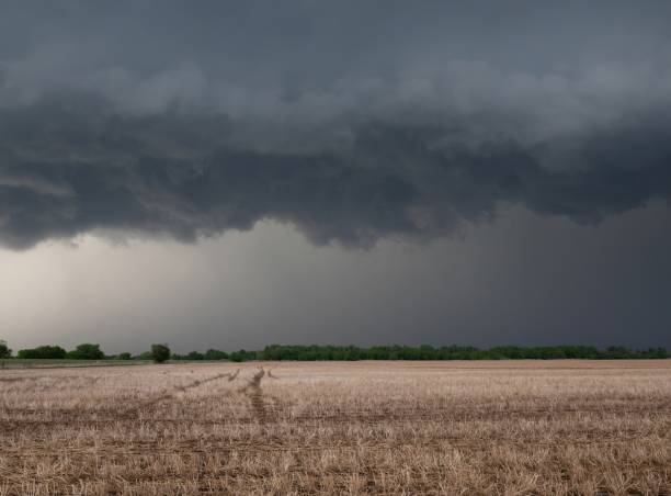 istock Heavy Storm Clouds Over a Stubble Field in Oklahoma 1435154996