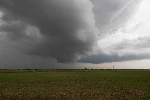 istock Thick Storm Clouds Hanging Over an Field with Emerging Crop in Oklahoma 1435155026