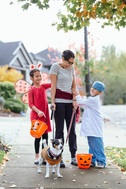 istock Young Family Trick Or Treating Together And Posing For Camera 1435158895