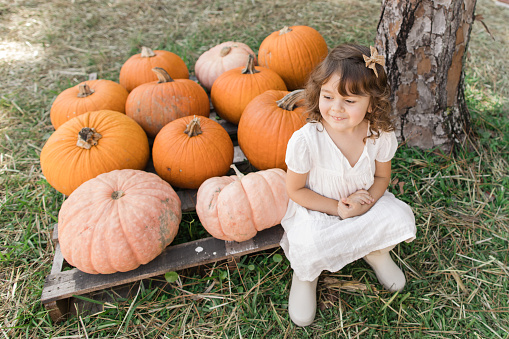 A 3-Year-Old Toddler Girl Wearing a White Dress, A Brown Hair Bow & White Rain Boots at a Pumpkin Patch