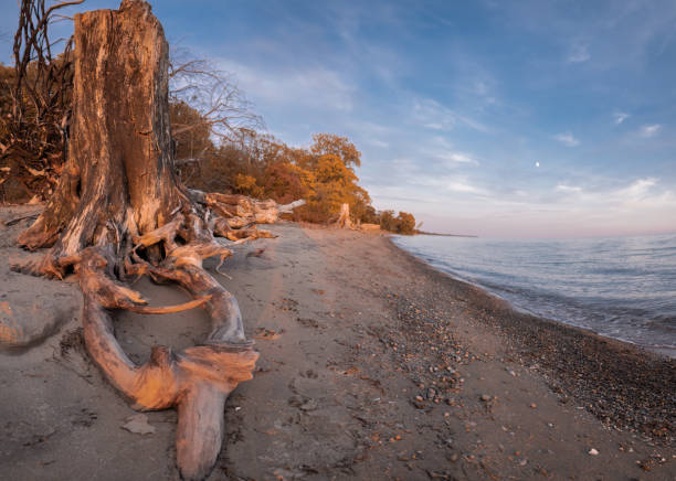 istock Environmental Protection and Conservation - Lake Erie 1435174539