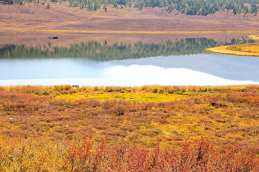 Reflection of clouds and tall pine trees on a hillside in a picturesque calm lake. Ulagansky district, Altai, Siberia, Russia.