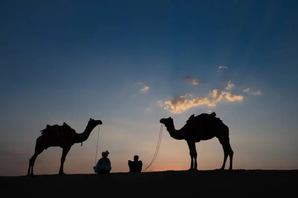 Silhouette of two cameleers and their camels at sand dunes of Thar desert, Rajasthan, India. Cloud with setting sun, sky in the background. Cameleers make a living out of camel riding by tourists.