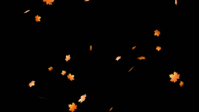 Autumn colorful thanksgiving leaves falling with alpha channel, transparent background.