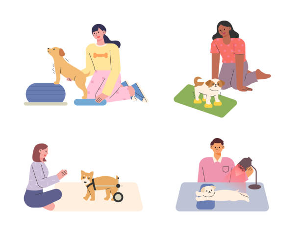 animal rehab Rehabilitation therapy for dogs. Dogs receiving walking aids, physiotherapy and infrared therapy. flat vector illustration. animal therapy stock illustrations