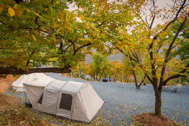 istock Autumn camping in the Woods 1435183663