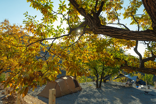 Autumn camping in the Woods