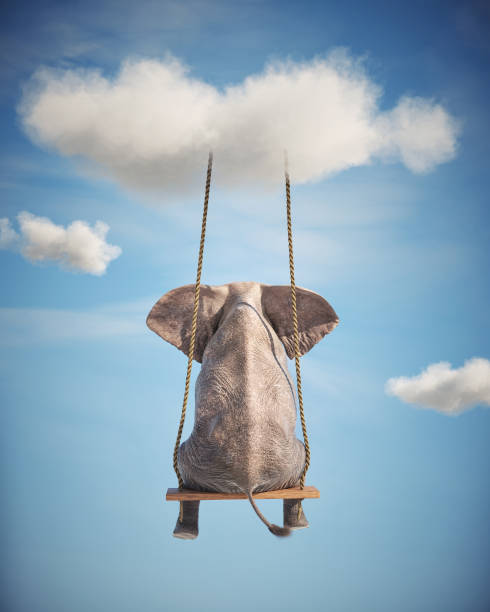 istock Elephant sitting on a swing. Freedom and happiness concept 1435194590