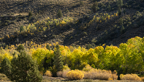 Springtime greenery of wide valley in the Green River Desert of Utah.