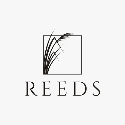 Simple reeds in frame symbol vector on white background