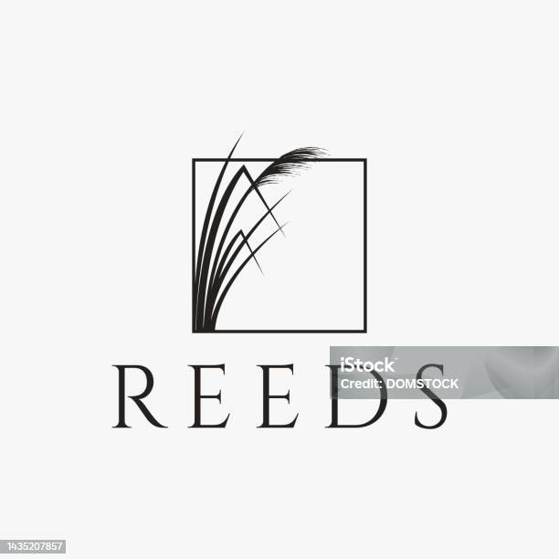 Image Cardre Reeds Simple Reeds In Frame Symbol Vector On White Background Stock ...