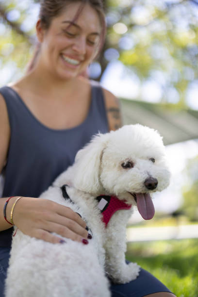 istock Dog and Owner 1435208168