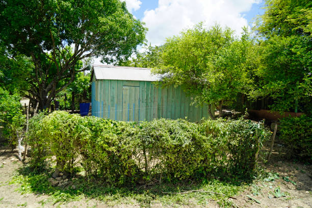 istock Dominican Republic travel 1435209057