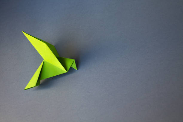 istock Green paper dove origami isolated on a grey background 1435210822