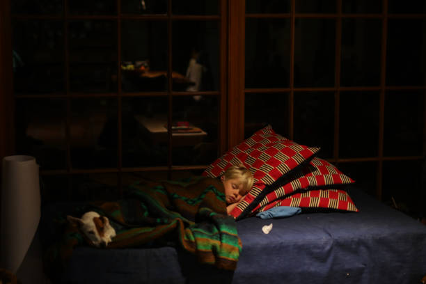 A boy is asleep on a sofa
