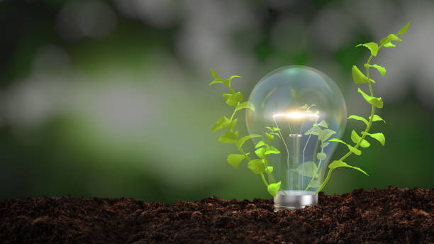 istock eco friendly power source, the light bulb and green branch with leaves 1435217769