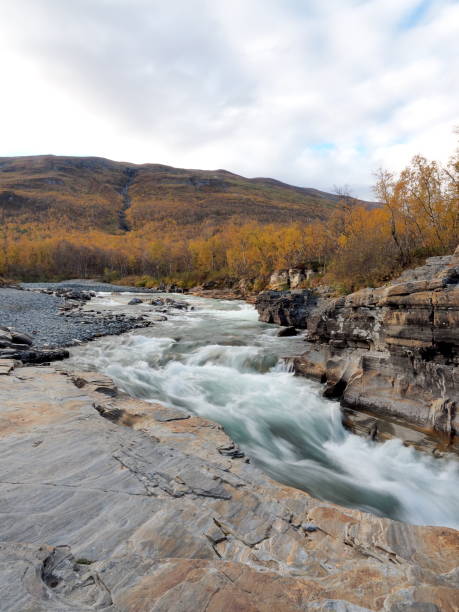istock River during the fall season in Swedish Lapland 1435218155