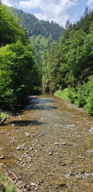 istock Waterfall on the Mountain Stream located in Misty Forest 1435218158