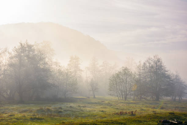 istock mountainous rural landscape on a misty sunrise 1435219280
