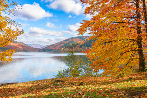 istock tereblia river reservoir in carpathian mountains 1435219446
