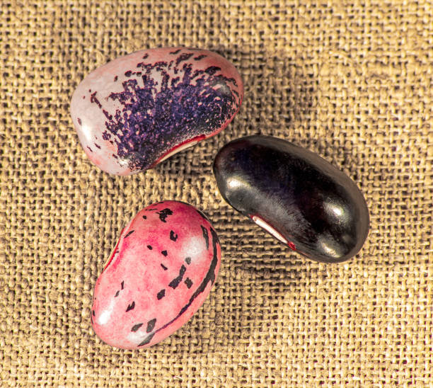 istock Three grains of multi-colored beans close-up top view 1435226000