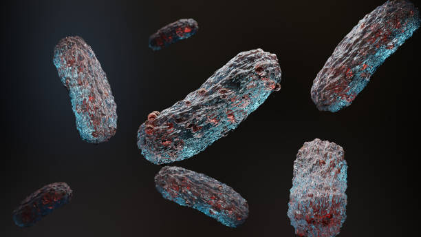 bacteria. Gut microbiome, intestinal digestion and the immune system. Probiotics are beneficial bacteria used to help the growth of healthy gut flora, microbiome, probiotics, Gram-negative, 3d render gérmenes. microbioma intestinal, digestión intestinal y sistema inmunológico. los probióticos son bacterias beneficiosas utilizadas para ayudar al crecimiento de la flora intestinal saludable, microbioma, probióticos, gramnegativos, renderizado 3d