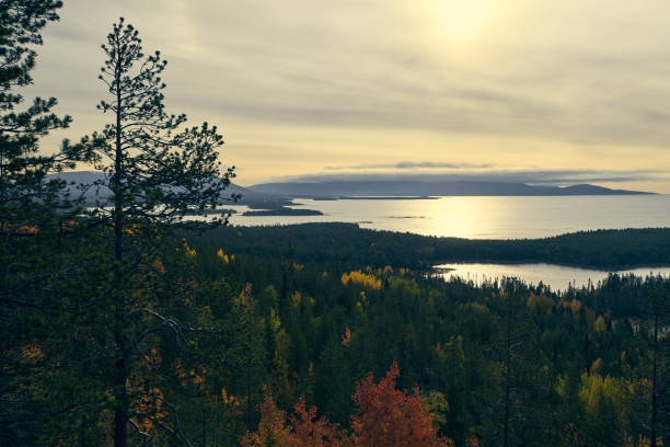 istock Forest lake surrounded by autumn foliage at sunset. 1435232335