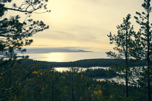 istock Forest lake surrounded by autumn foliage at sunset. 1435232390