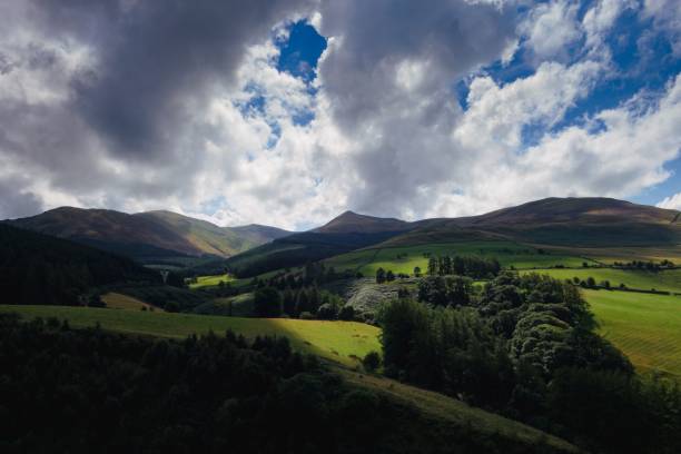 istock High-angle of landscape view with green meadows and trees around, cloudy sunlit sky making shadows 1435232609