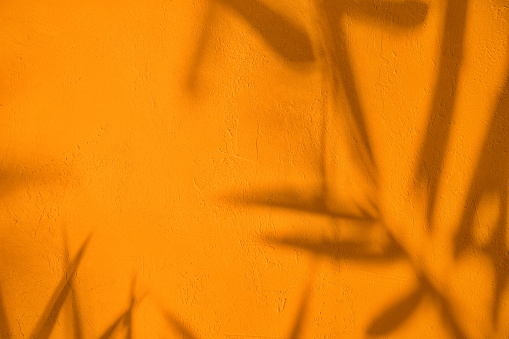 Abstract tree leaves shadows on orange concrete wall texture with roughness and irregularities. Abstract trendy colored nature concept background. Copy space for text overlay, poster mockup flat lay