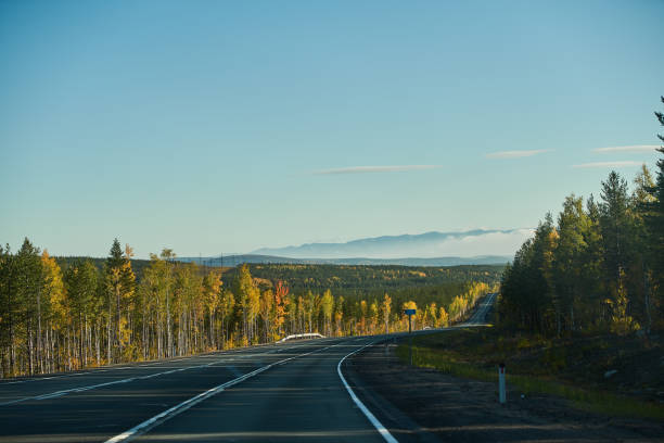 istock Highway through the autumn forest. Autumn forest highway 1435233575