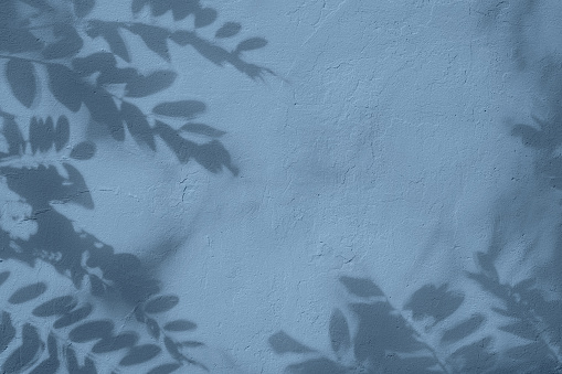 Shadow of leaves on blue concrete wall texture with roughness and irregularities. Abstract trendy colored nature concept background. Copy space for text overlay, poster mockup flat lay