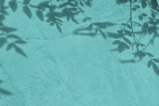 Shadow of leaves on mint blue concrete wall texture with roughness and irregularities. Abstract trendy colored nature concept background. Copy space for text overlay, poster mockup flat lay