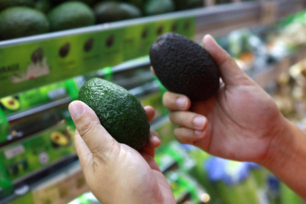 istock Customer choosing avocados at grocery store close up 1435236871