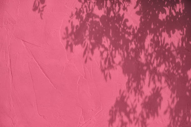 istock Shadow of leaves on pink concrete wall texture background 1435237236