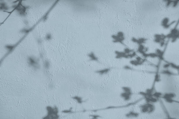 istock Shadow of leaves on gray blue concrete wall texture background 1435237394