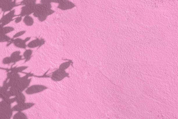 istock Shadow of leaves on pink concrete wall texture background 1435240165