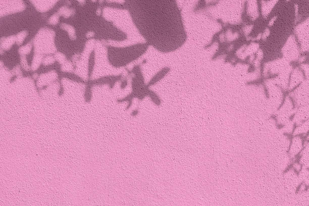 istock Shadow of leaves on pink concrete wall texture background 1435240167