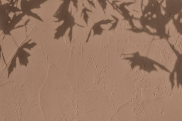 istock Shadow of leaves on brown concrete wall texture background 1435240932