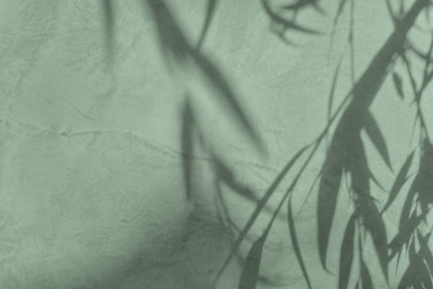 istock Shadow of leaves on gray green concrete wall texture background 1435241337